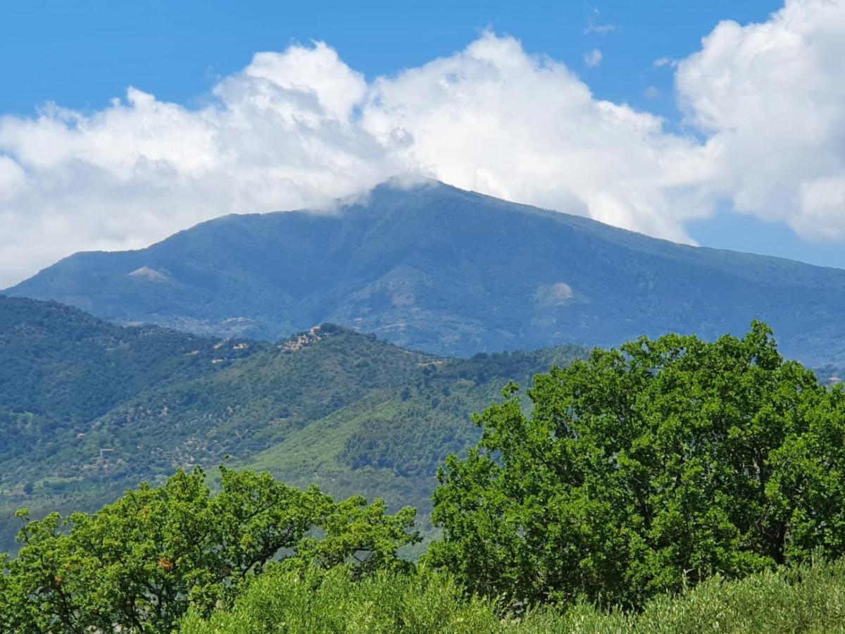 Colle Del Mirto Villa Castelnuovo Cilento Exterior photo