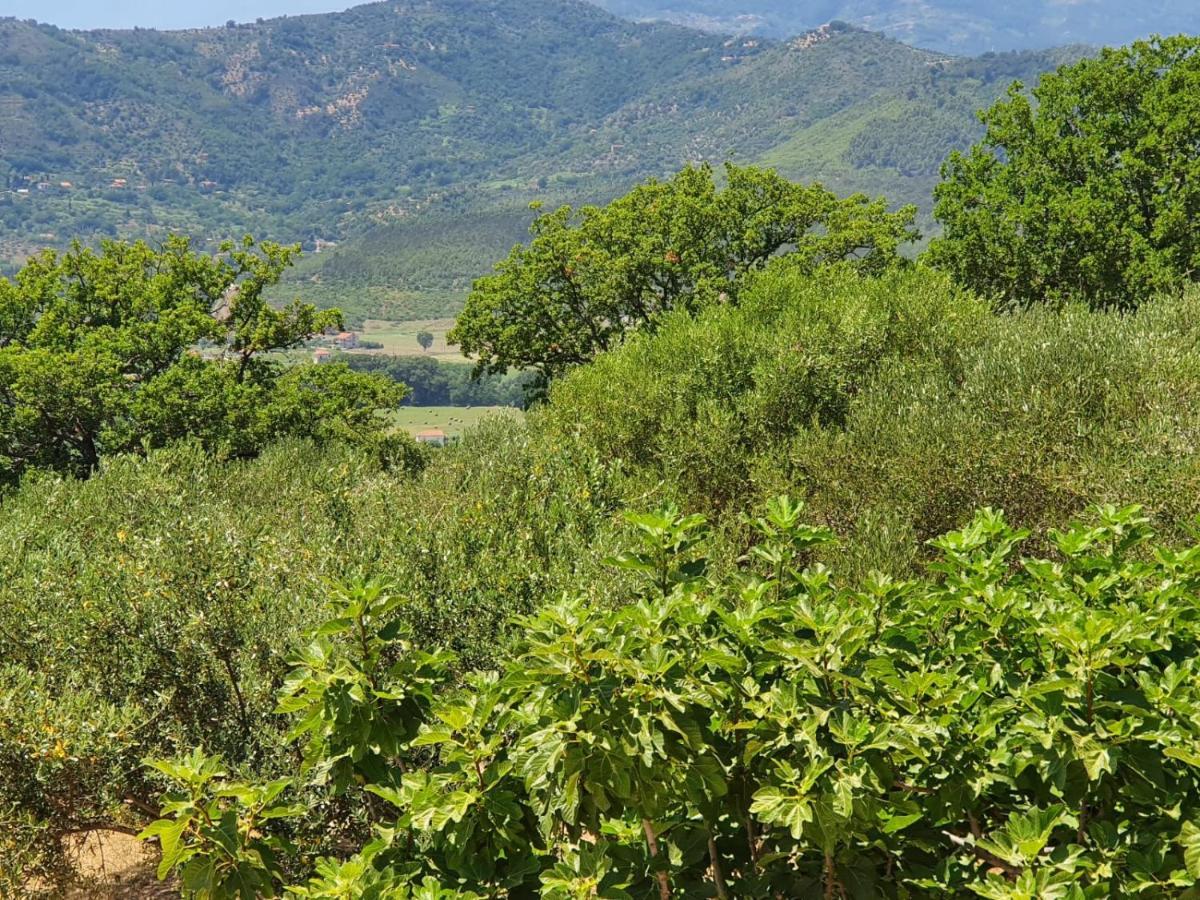 Colle Del Mirto Villa Castelnuovo Cilento Exterior photo